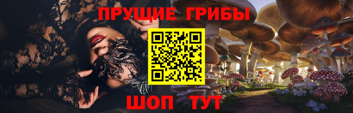 Галлюциногенные грибы GOLDEN TEACHER  Псилоцибиновые грибы Magic Shrooms  Сибай  где купить   Вход с VPN 
